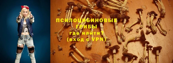 а пвп мука Армянск