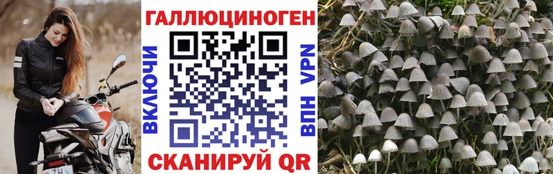 Галлюциногенные грибы GOLDEN TEACHER  Усинск 